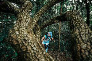 BIB: 
                            <button type="button" onclick="openModal(25393075)" class="btn btn-primary btn-sm float-right btn-popup" data-toggle="modal" data-target=".modal-high-quality">
                        <i class="fas fa-shopping-cart"></i> Add to Cart
                    </button>
                                            <button type="button" onclick="isThisMe(25393075, true)" class="btn btn-success btn-sm float-right btn-popup btn-isme hidden" data-toggle="tooltip" data-placement="bottom" title="นี่คือรูปของคุณใช่ไหม คลิกที่นี่เพื่อเอาเข้าอัลบั้ม">
                        <i class="fas fa-plus"></i> Add to album
                    </button>
                    <button type="button" onclick="isThisMe(25393075, false)" class="btn btn-warning btn-sm float-right btn-popup btn-isnotme hidden">
                        <i class="fas fa-ban"></i> Remove from album
                    </button>